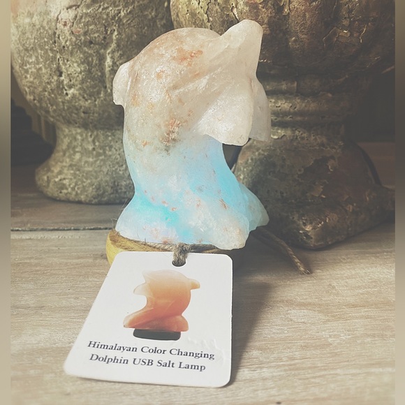 Himalayan Salt Dolphin Lamp - Picture 6 of 10